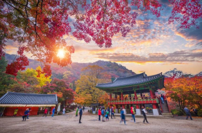 The Best Tourist Destinations in Japan