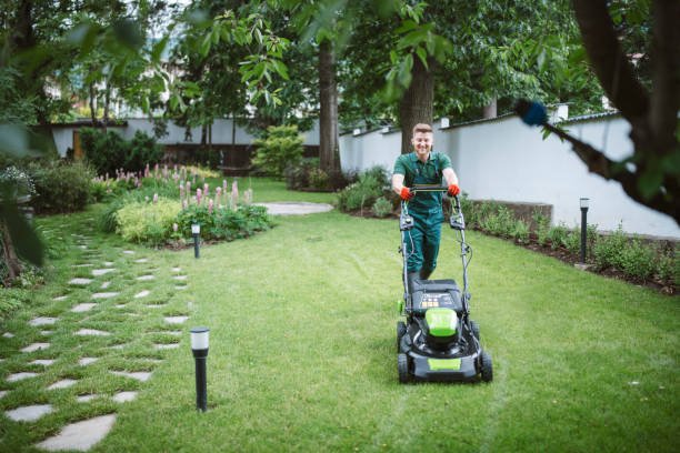 Close-up of a gardener's hand pruning a green shrub with clean, sharp pruning shears, surrounded by lush plants in a well-maintained garden, highlighting essential garden maintenance practices such as trimming, watering, and weed control.