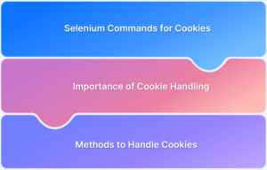 Software Testing Training 