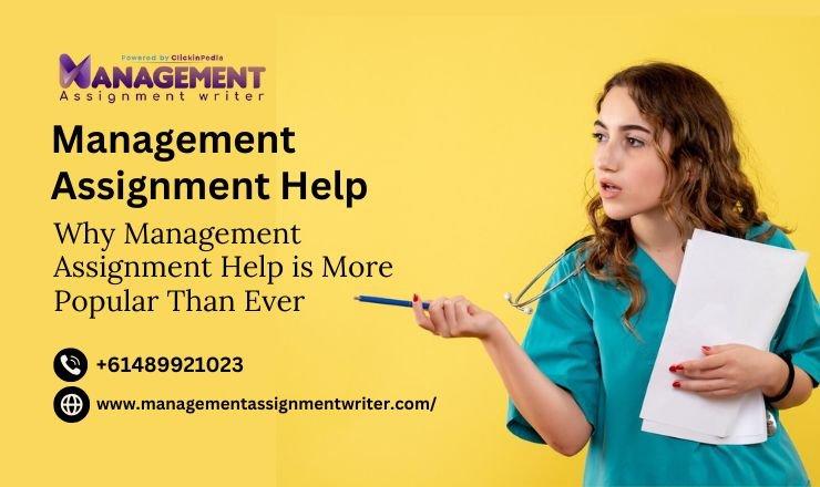 management assignment help