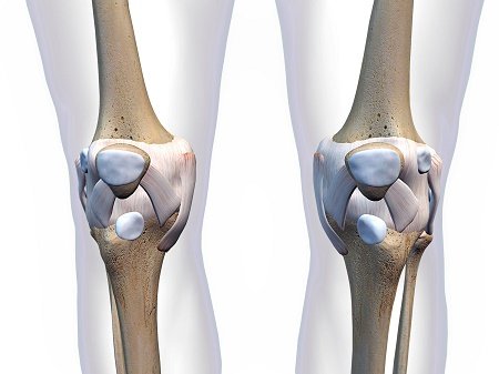 knee pain treatment specialists Long Island