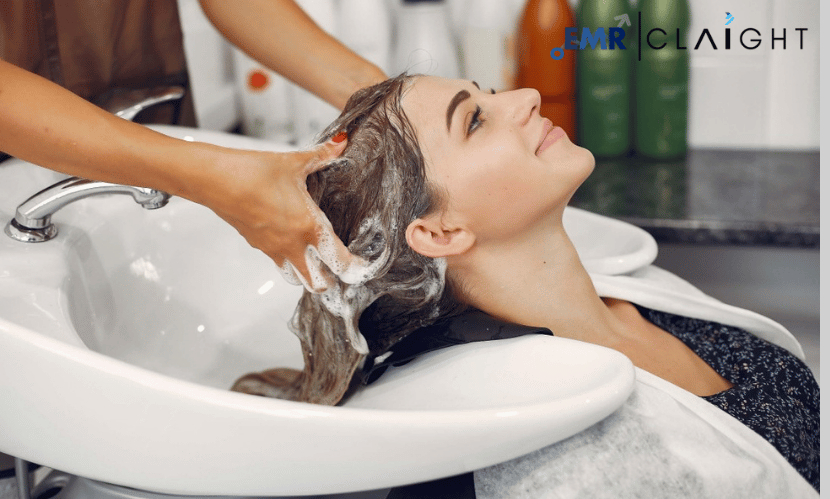 Latin America Hair Care Market