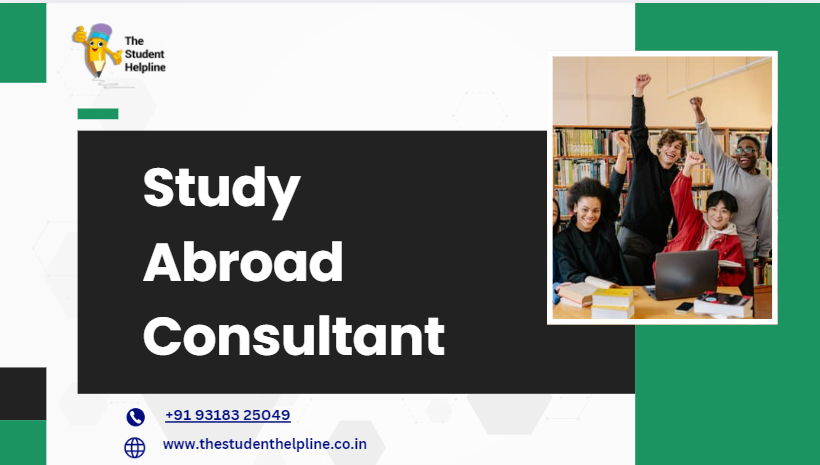 study abroad consultant