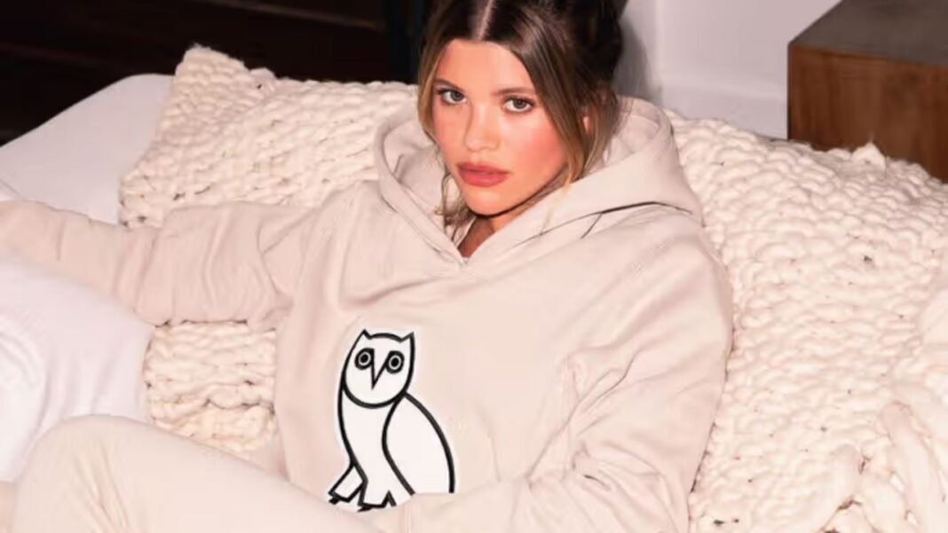 Are OVO Hoodies Worth the Investment for Streetwear Lovers?