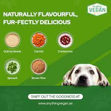 Natural Food for Obese Dogs Dubai