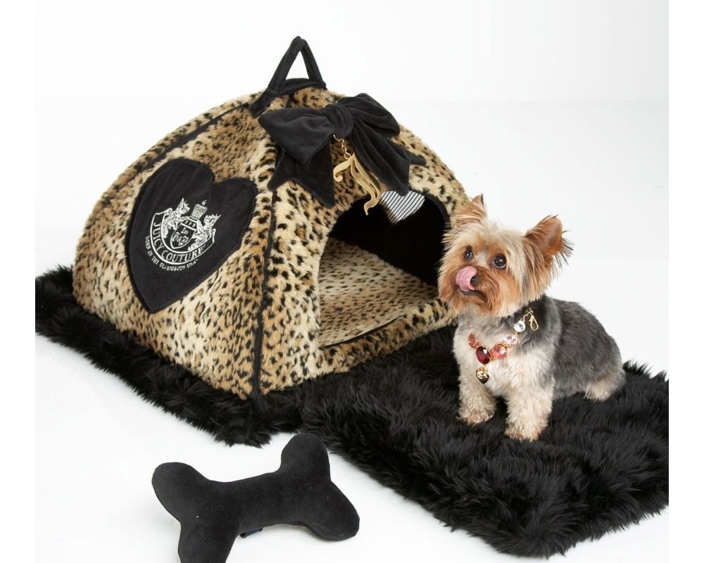 Winter Accessories for Pets: Keeping Them Warm and Cozy