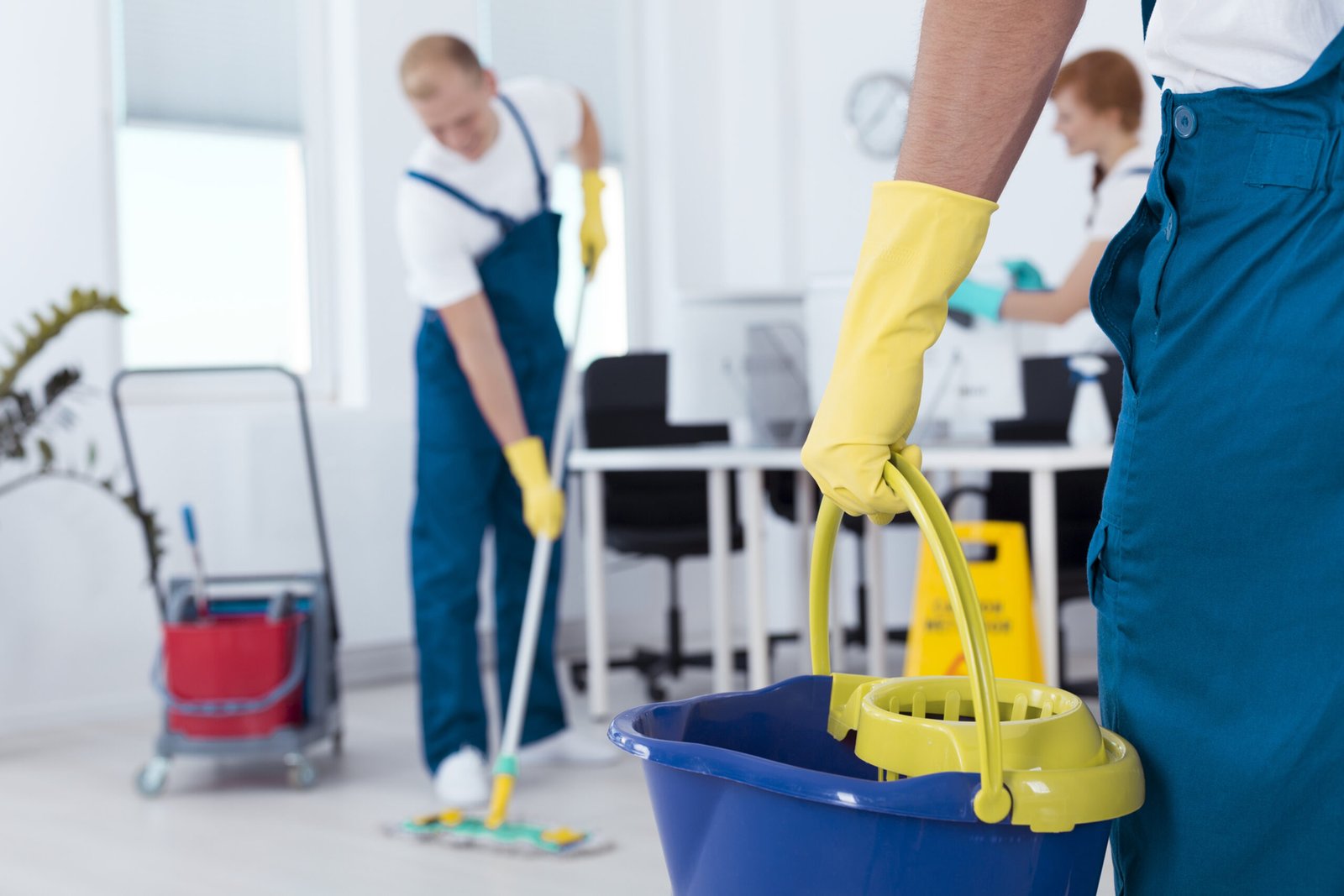 professional green cleaning service in nyc