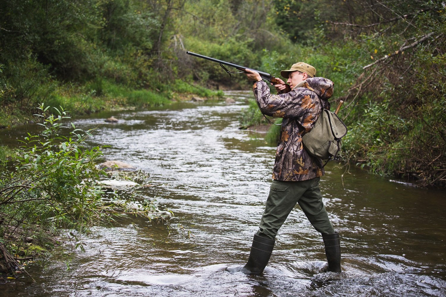 How to Find and Access Public Dove Hunting Spots in Texas