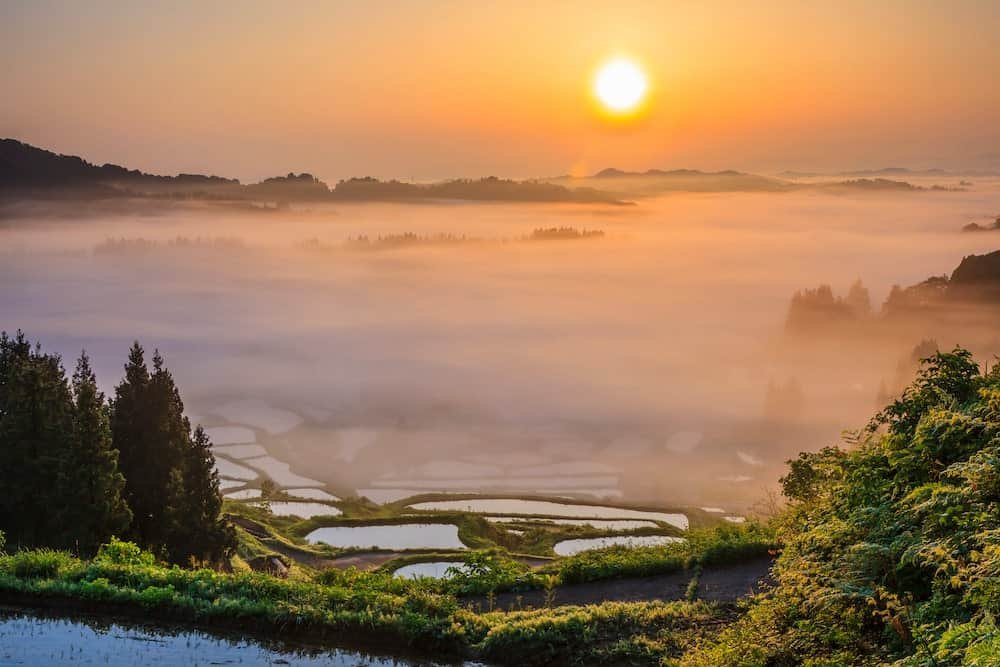 How Is Japan Preserving Its Ancient Traditions Today?