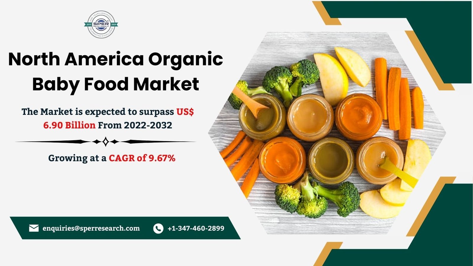 North America Organic Baby Food Market