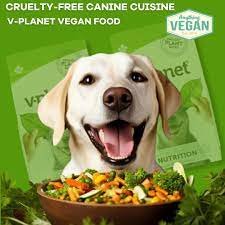 natural dog food dubai