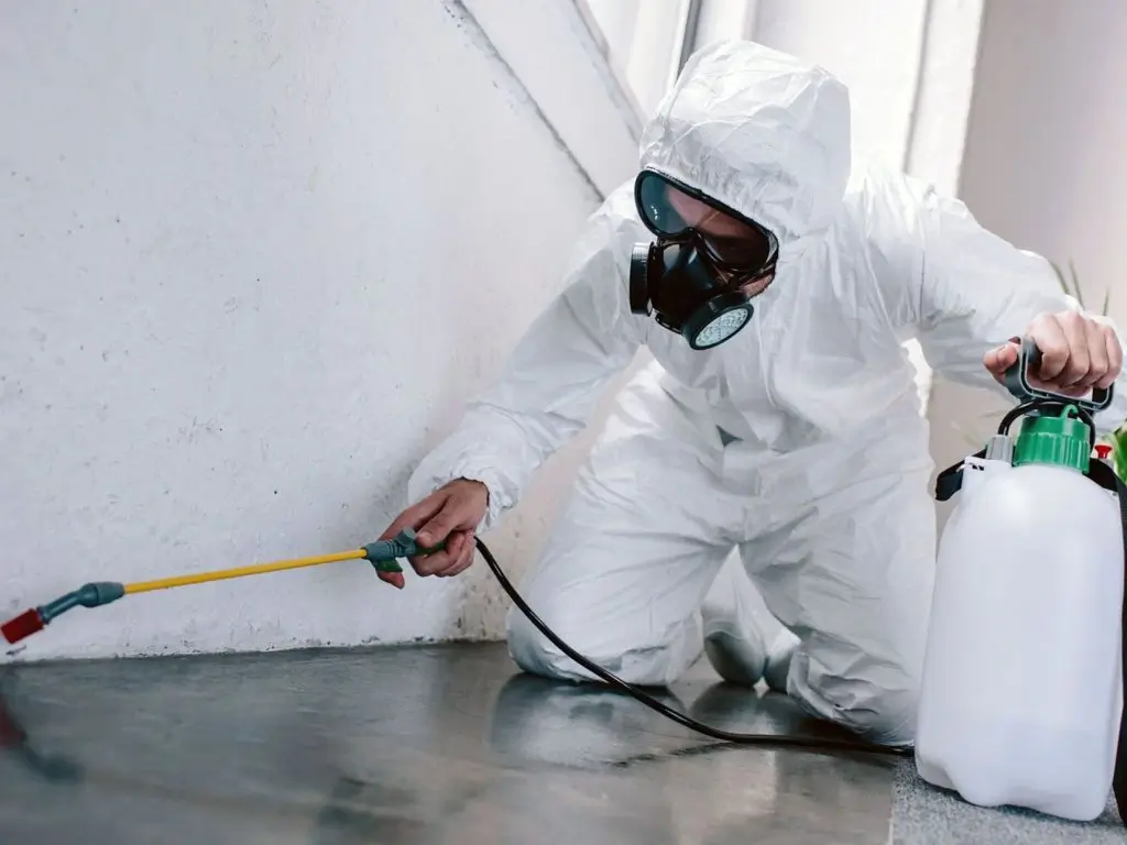 Pest Control Services in Lahore