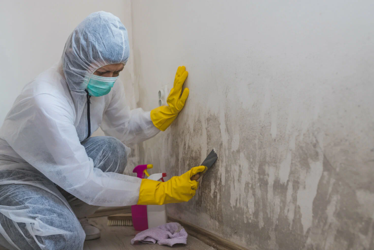 What Happens If Mold Remediation Is Ignored: A Case Study of a Failed Home