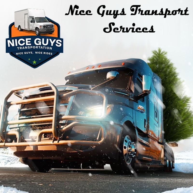 Nice Guys Transport Services